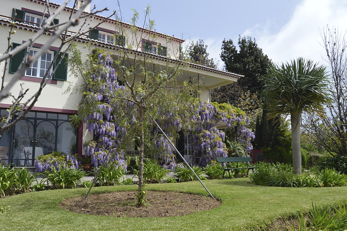 Quinta do Cabouco: O Refúgio Perfeito com Vista Mar na Madeira