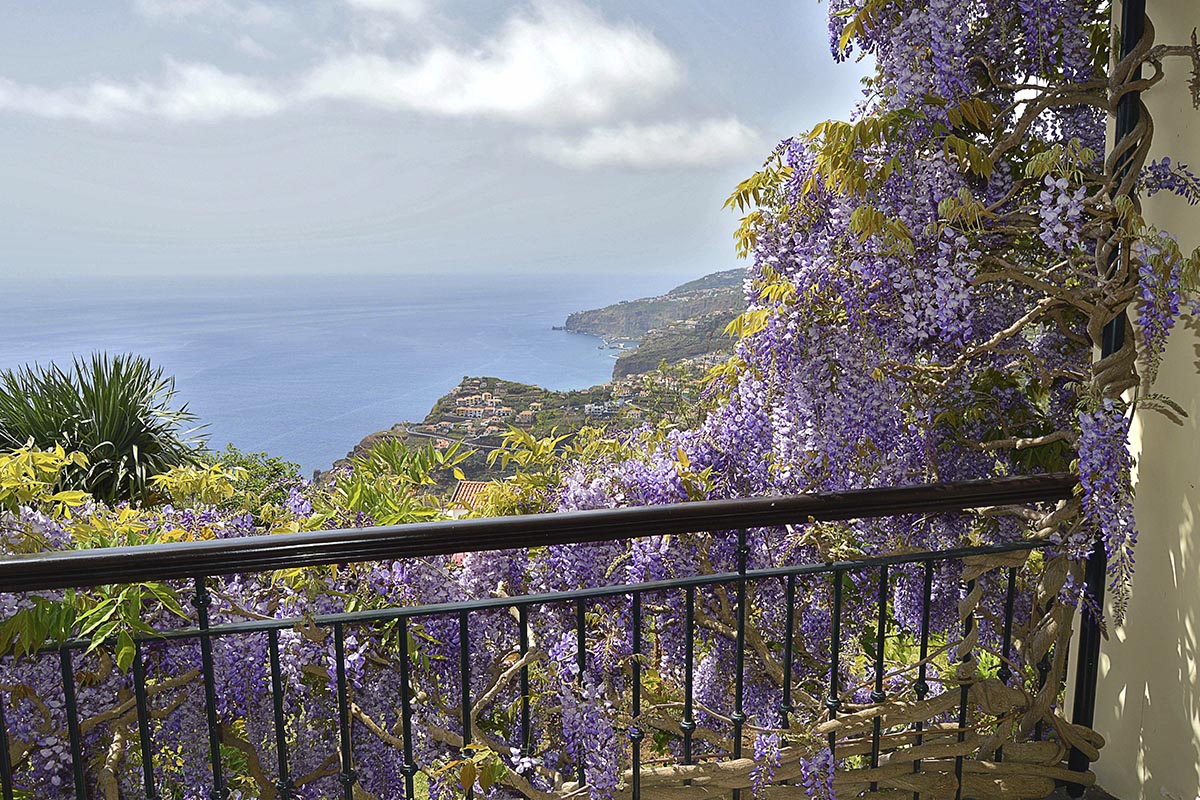 Porque Escolher a Quinta do Cabouco para as suas Férias na Madeira