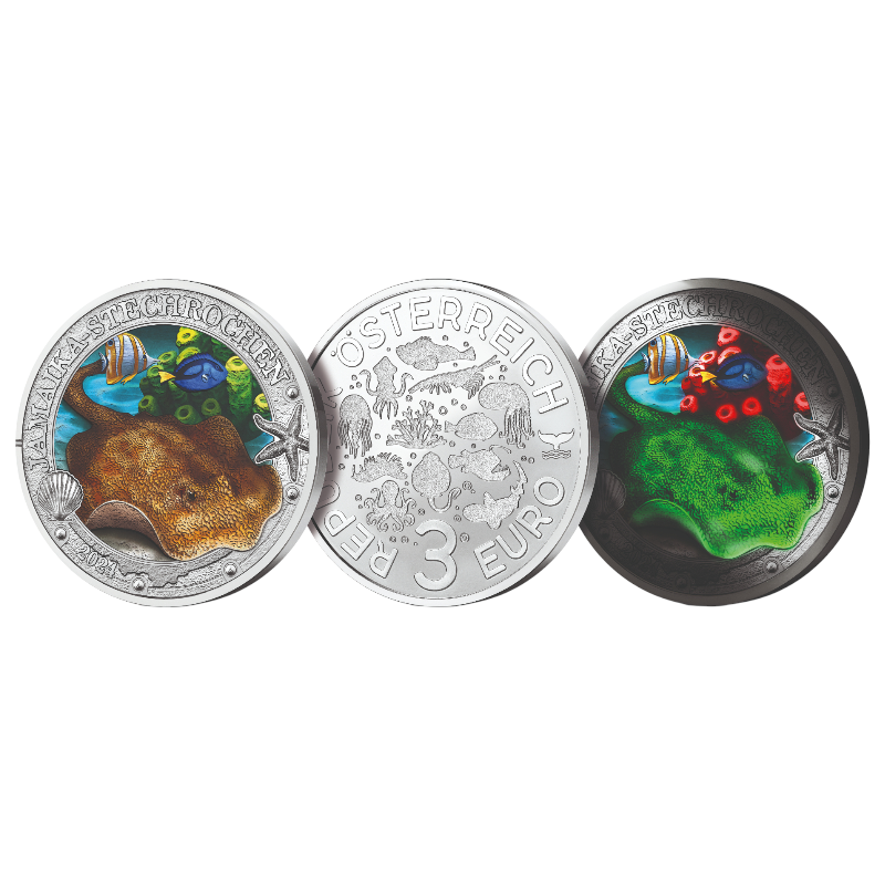 2024-austria-raia-amarela.02.webp